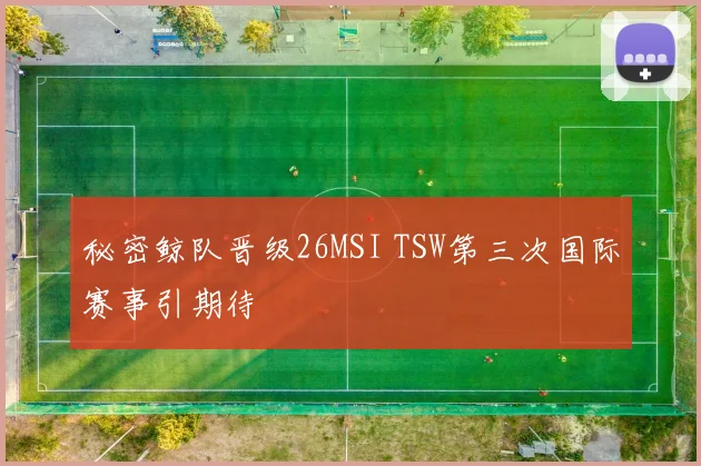 秘密鲸队晋级26MSI TSW第三次国际赛事引期待